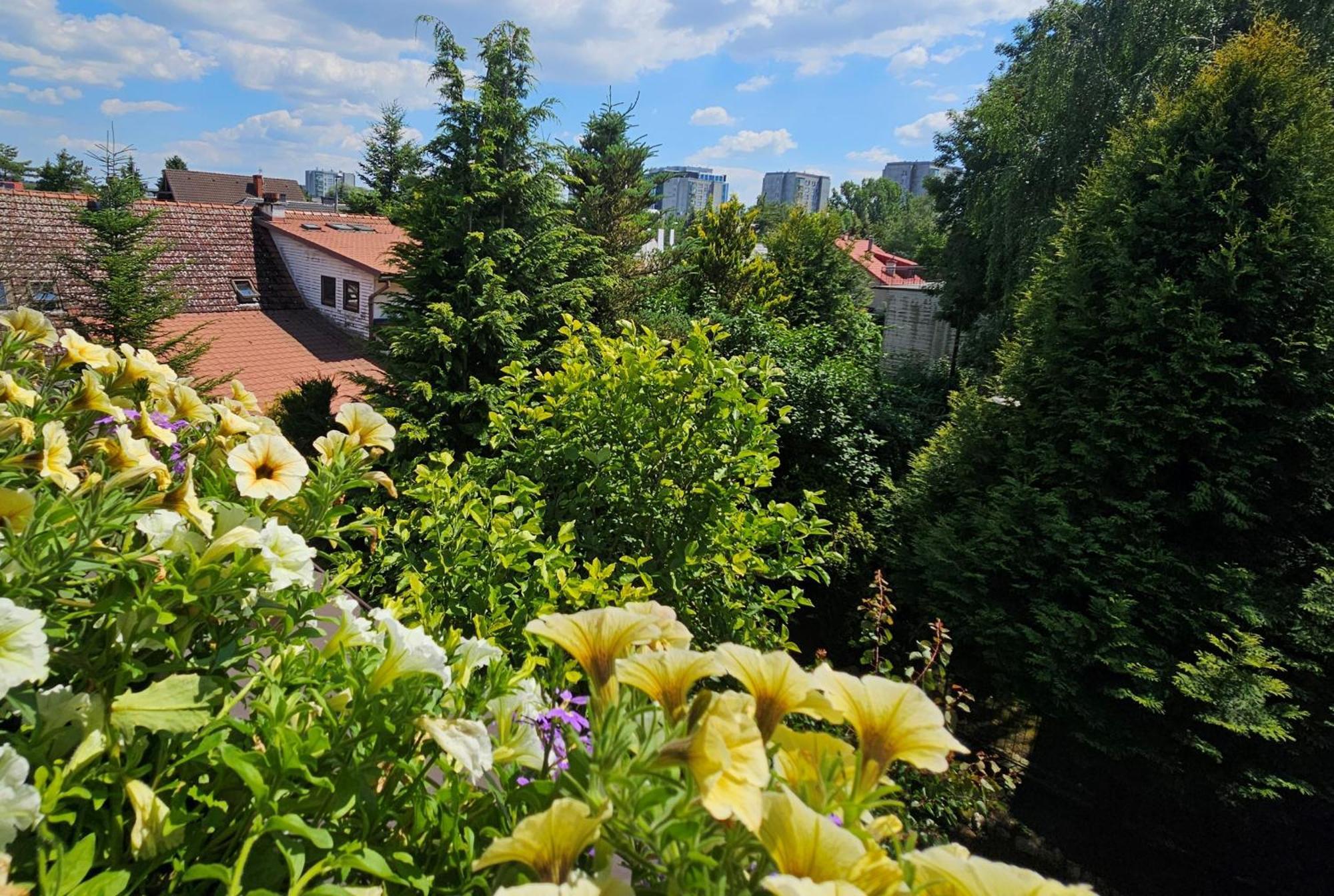 Park Apartment Krakow Dış mekan fotoğraf
