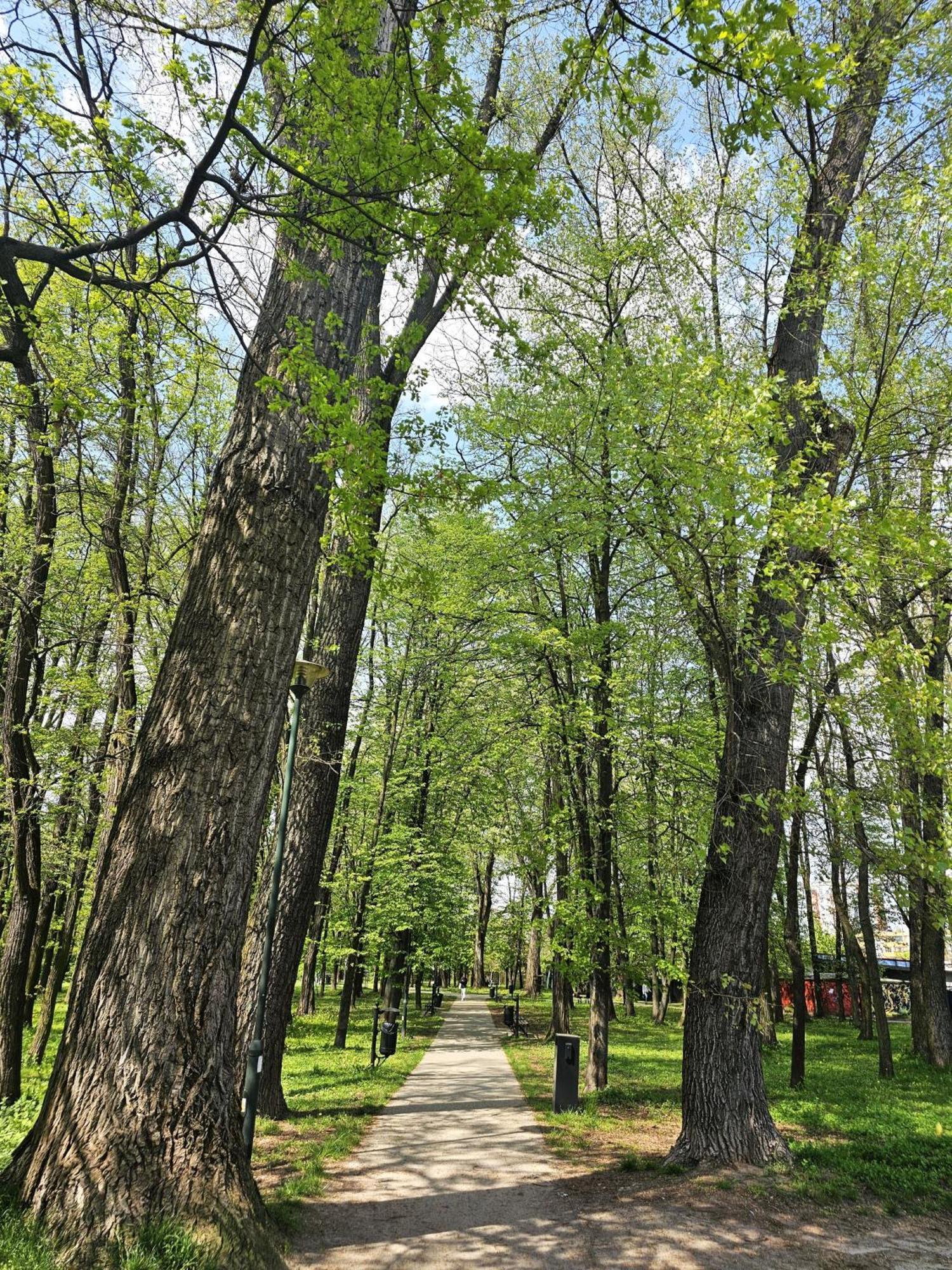 Park Apartment Krakow Dış mekan fotoğraf